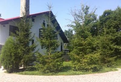 Casă cu 7 camere în Piatra (Provița de Jos) - 6