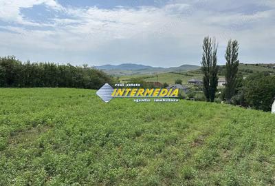 Vanzare Teren Intravilan Ighiu-Telna 2060 mp deschidere 20 m asfalt apa gaz curent canal vedere si - 2