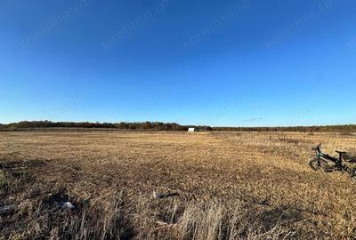 Teren de 775 mp, în Moșnița Veche - 2