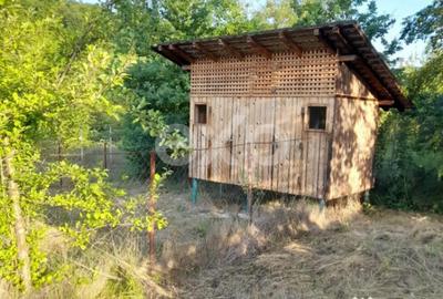 Casă cu 4 camere cu Teren 5500 Mp în Mălureni - 3