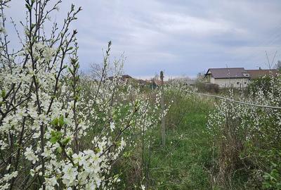 Casă cu 2 camere cu Teren 1439 Mp în Central - 2