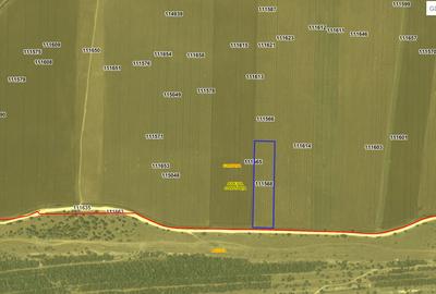 COMISION 0% - Teren Extravilan 10.000mp - Cumpana COMISION 0% - Teren Extravilan 10.000mp - Cumpana - 8