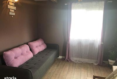 Casă cu 4 camere cu Teren 5000 Mp în Șuncuiuș - 11