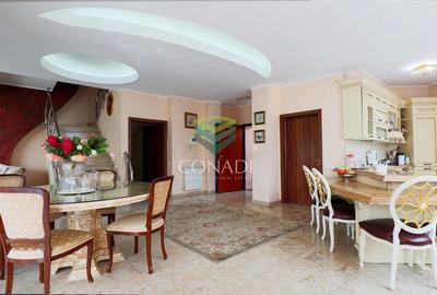 Iancu Nicolae, vila cu 5 camere de vanzare, 356 mp construiti - 3