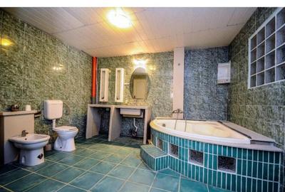 Ocazie unica de investitie, vila de lux in Balotesti - 11