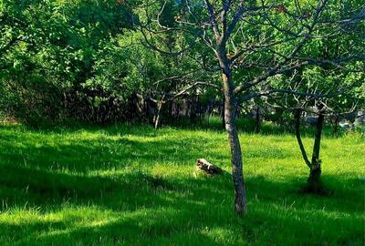 Spațiu comercial, în Central - 1