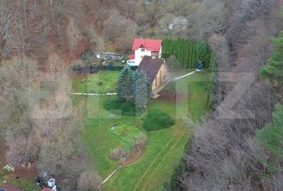 Casă cu 3 camere cu Teren 2500 Mp în Ighiu - 10