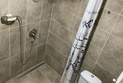 Garsonieră decomandată în Buziașului