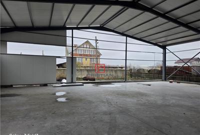 Depozit/hala/spatiu industrial Pantelimon - Comuna Pantelim - 9