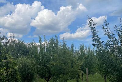 Vand casa din 2004, tren 11500 mp, Cuci, jud. Mures - 4