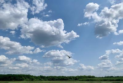 Teren agricol intravilan de 45000 mp, în Crevedia - 6