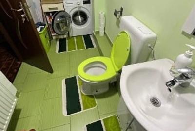 Vând casă  primitoare,direct proprietar în Vințu de Jos - 10