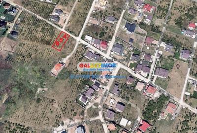 Mogosoaia 854 Mp str. Eugen Barbu - 13