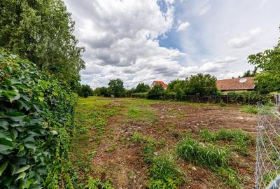 Teren casa individuala, duplex, hotel, clinica-Timisoara, str Gospodarilor - 17