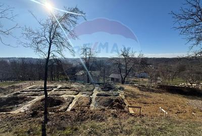 Teren Construcții intravilan de 1170 mp, în Cărbunari - 3