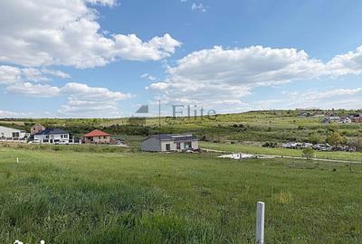 Teren de 738 mp, în Paleu - 1