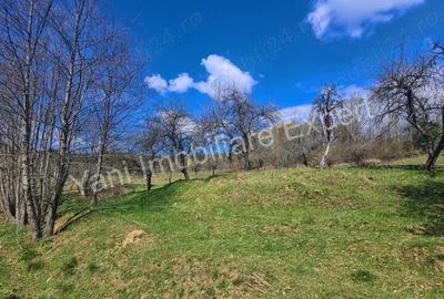 Teren de 9364 mp, în Central - 1