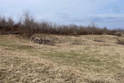 Teren Construcții intravilan de 11300 mp, în Bârnova - 6