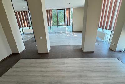 Spatiu comercial si de birouri stradal , zona Faleza Nord, 233 mp - 13