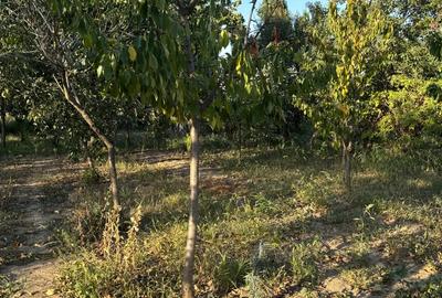 Casa de Vanzare in sat Crai Nou - 2