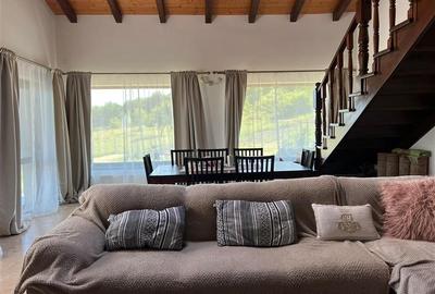 Casa cu teren 4.6 hectare la 17 km de Targu Mures - 4