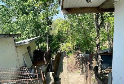 Casă cu 5 camere cu Teren 887 Mp în Bordușani - 6