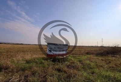 Teren de vanzare | 5050mp | Zona de Nord, Ploiesti | COMI... - 3