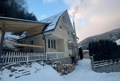 Vand vila cabana in Muntele Baisorii - 2