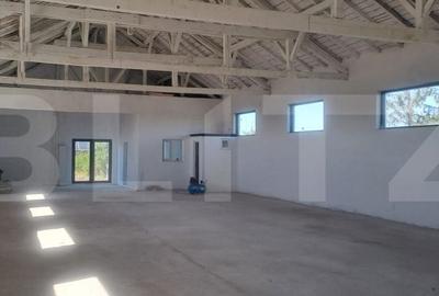 Spațiu comercial, de 370 mp, în Valea - 8