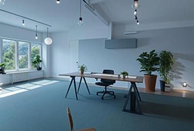 Hala industriala birouri de Faur - 7