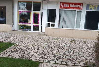 VAND sptiu comercial in SIMERIA zona centrala - 1