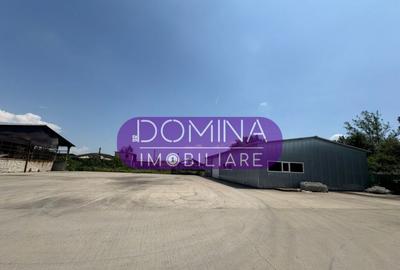 Complex industrial multifunc?ional Targu Jiu - 2