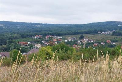 Teren 840 mp in Birnova cu panorama deosebita Teren 840 mp in Birnova cu panorama deosebita - 3