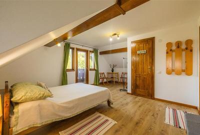 FILM! Investitie 2 in 1:Unitati independente +domeniu 1.742mp,aria Bran,Tohanita - 46