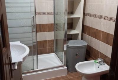 Apartament cu 2 camere semidecomandat, mobilat în Brâncoveanu - 4