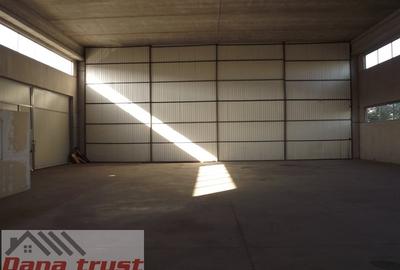 Spațiu industrial, în Lugojului - 5