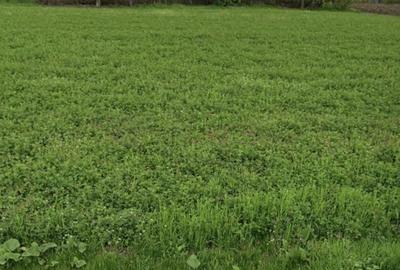 Teren de 860 mp, în Sinești - 2