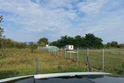 Teren intravilan Halchiu, str. Feldioarei 1600 mp - 4