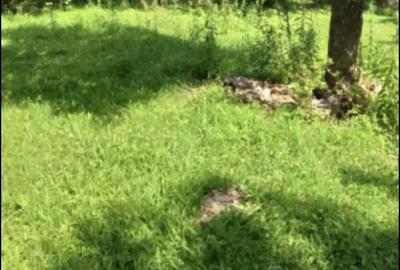 Casă în Breaza de Sus - 3