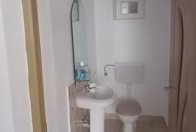 Casă cu 2 camere în Chistag - 6