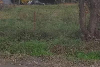 Teren de 507 mp, în Cisnădioara