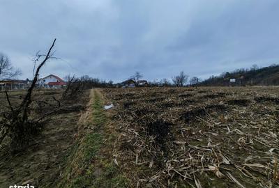 Spațiu comercial, în Măgura - 3