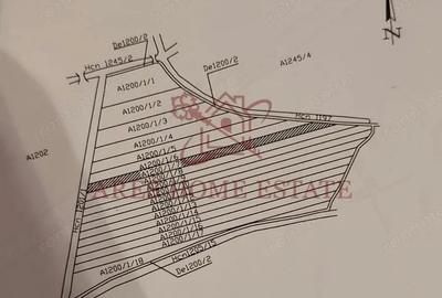 Teren 5.000 mp centura Calea Sagului- Freidorf. Comision 0 - 4
