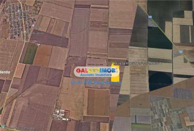 Teren Cuza Voda Calarasi 7 Ha extravilan vecin Canal Irigat - 4