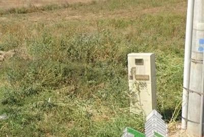 Teren intravilan 1.7 ha Dragomiresti Vale-Zurbaua, deschidere 34m la strada asfa - 15