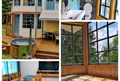 PF vand 3 case de vacanta Cabana Barlogul Colibita - 8