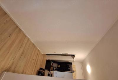 Apartament cu 2 camere decomandat în Valea Ialomiței - 10