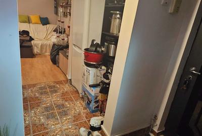 Lacul Tei, Maica Domnului aproape Parcul Circului - 6