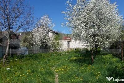 Casă cu 2 camere cu Teren 850 Mp în Central - 3