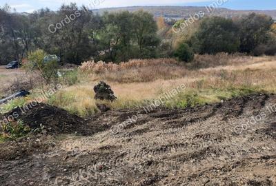 Teren de 730 mp, în Chinteni